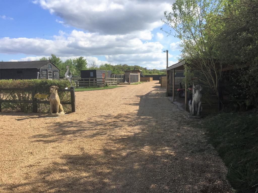 Willow Court Farm Studio East & Petting Farm, 8 Mins To Legoland & Windsor, 15 Mins To Lapland Uk Exterior foto