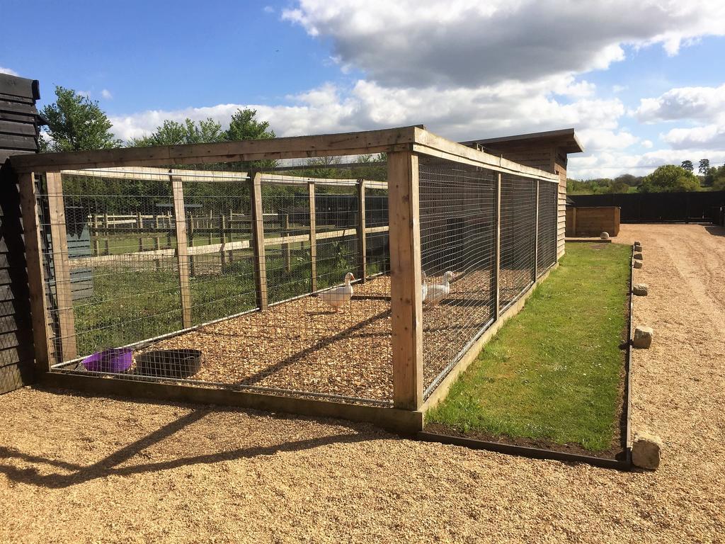 Willow Court Farm Studio East & Petting Farm, 8 Mins To Legoland & Windsor, 15 Mins To Lapland Uk Exterior foto