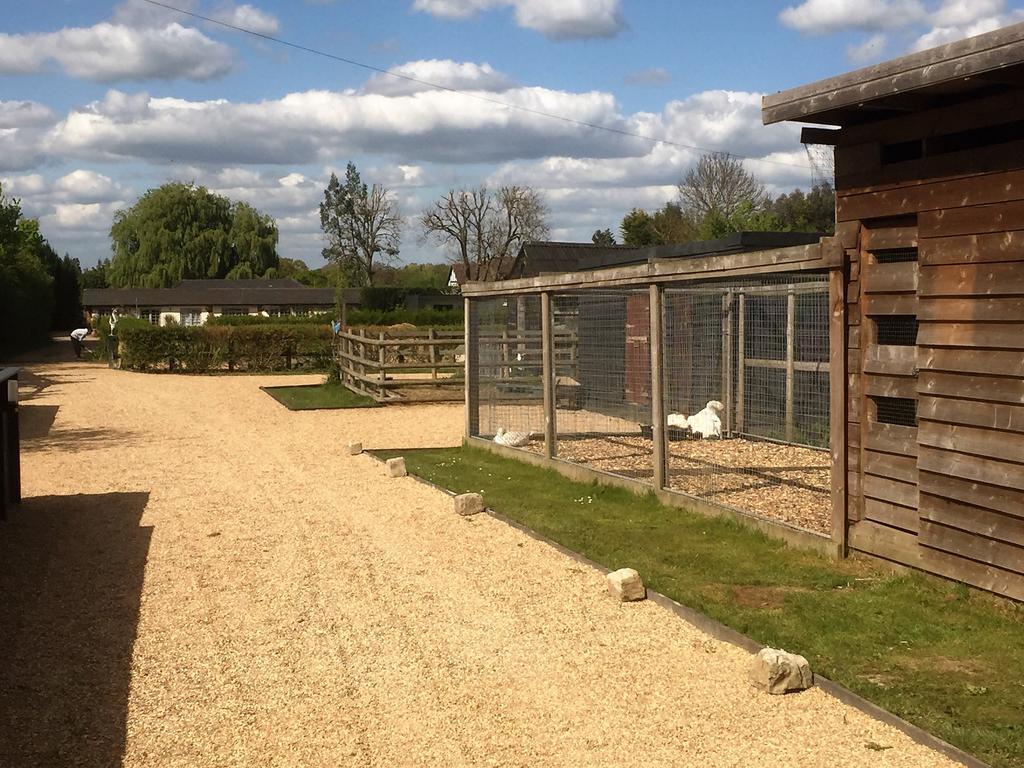 Willow Court Farm Studio East & Petting Farm, 8 Mins To Legoland & Windsor, 15 Mins To Lapland Uk Exterior foto