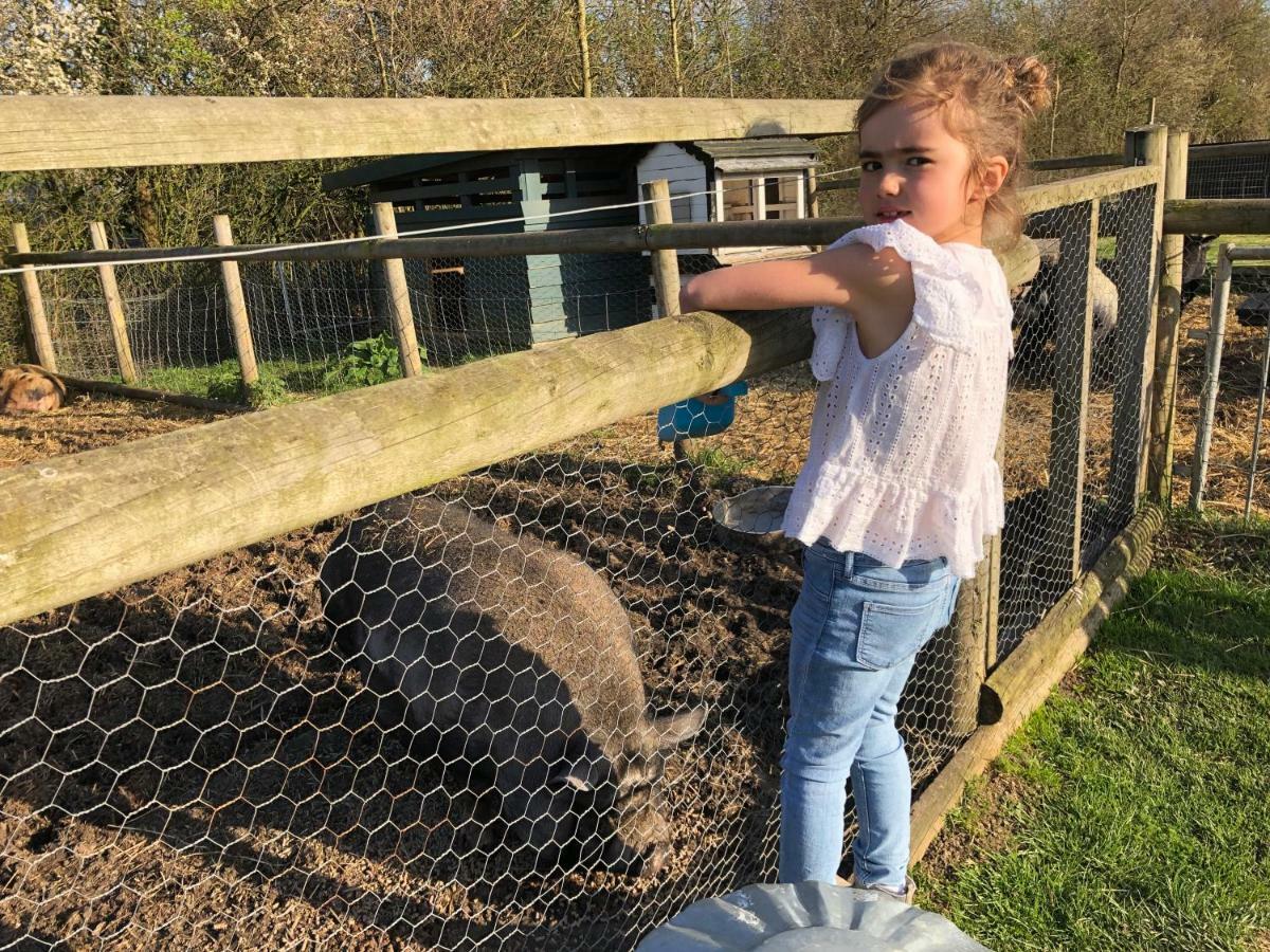 Willow Court Farm Studio East & Petting Farm, 8 Mins To Legoland & Windsor, 15 Mins To Lapland Uk Exterior foto