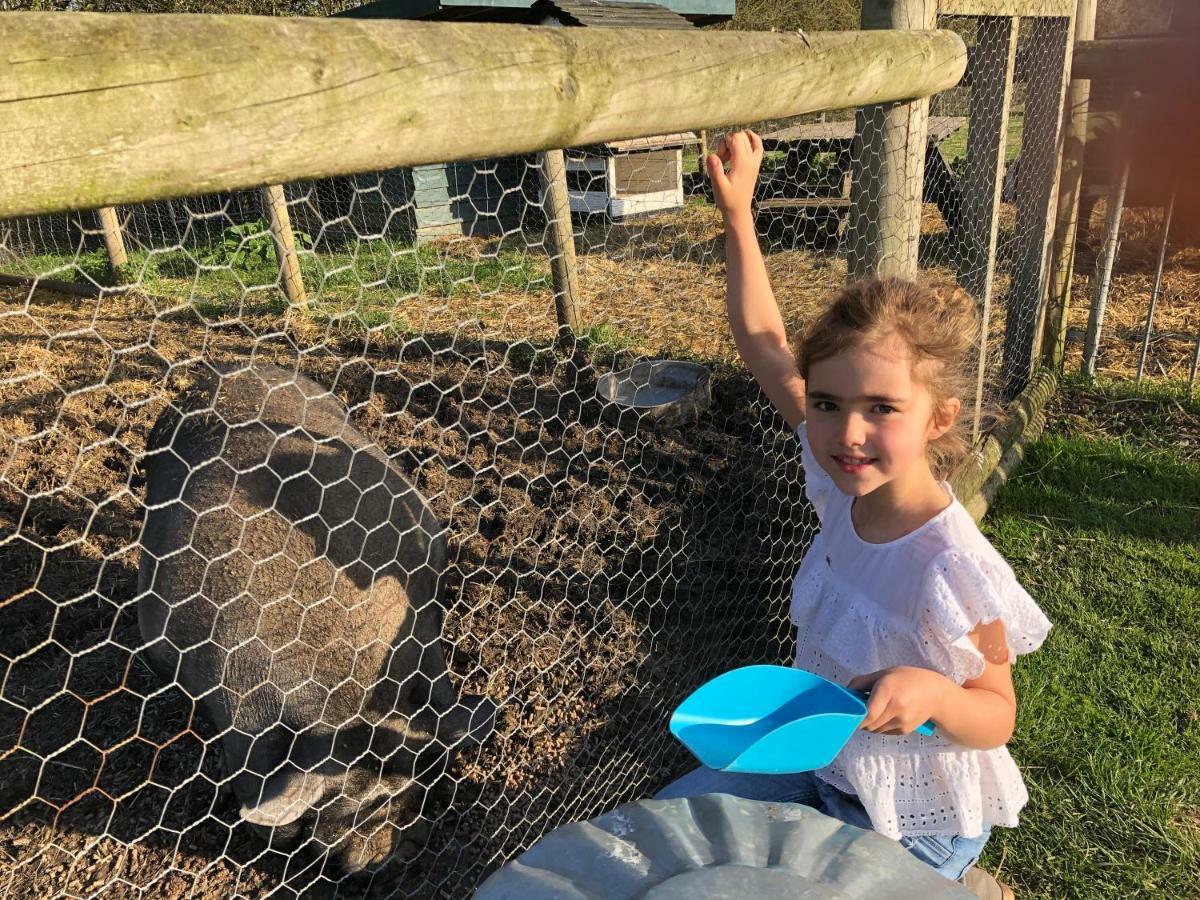 Willow Court Farm Studio East & Petting Farm, 8 Mins To Legoland & Windsor, 15 Mins To Lapland Uk Exterior foto